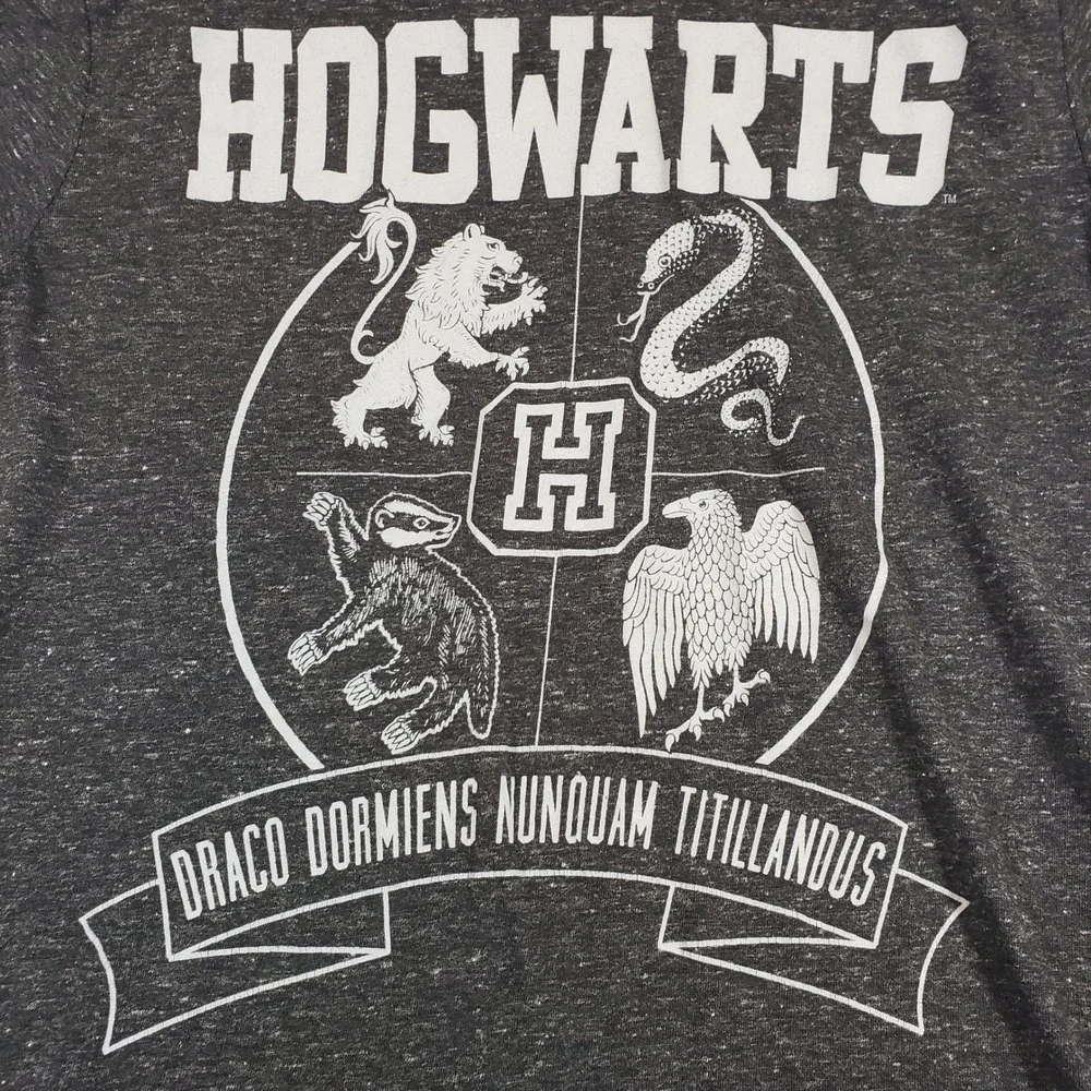Harry Potter Hogwarts Houses Crest T Shirt Gray Youth Small‎